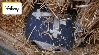 image de la news Ce soir en famille : sorti il y a 31 ans, ce film Disney adapte bizarrement Alexandre Dumas, mais vous allez passer un bon moment !