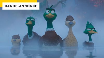 image de la news Bande-annonce Migration : après Super Mario, un Français aux commandes du film Illumination de Noël !