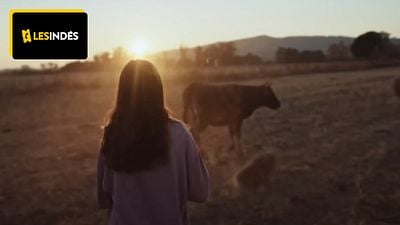 image de la news Le meilleur film de la semaine est "haletant et vibrant"