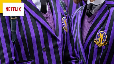 image de la news Stranger Things battue ! Cette série américaine est désormais la plus vue sur Netflix