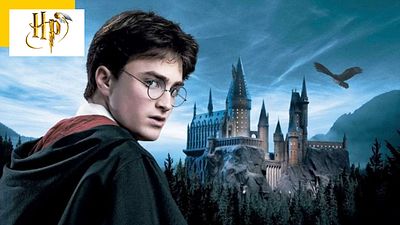 image de la news Harry Potter en série : c’est presque officiel !
