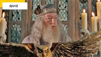 image de la news Quiz Harry Potter : complétez ces répliques de Dumbledore