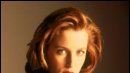 L'agent Scully divorce