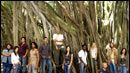 image de la news La 2ème saison de "Lost" le 15 juillet !