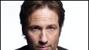 image de la news Inédits en séries : "Californication" arrive sur M6 !