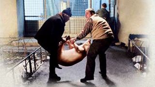 image de la news Interview : Les Contes en or de Cristian Mungiu