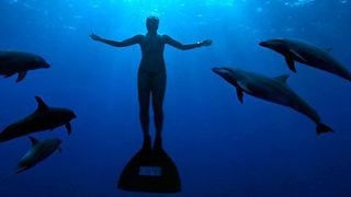 image de la news "The Cove, la baie de la honte" : un Oscar et une polémique