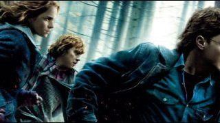 "Harry Potter 7" en tête du box-office France 2010 !