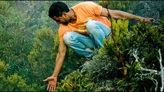 image de la news "Signature" : la BA de Canal + Réunion