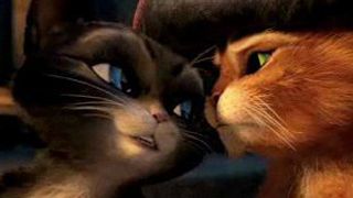 image de la news "Le Chat Potté" : la bande-annonce ! 