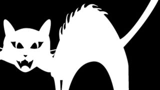 image de la news Happy Birthday Wild Side !