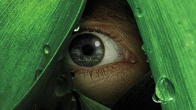 image de la news "The River" déjà disponible en France [VIDEO]