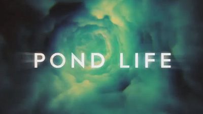 image de la news "Pond Life" : découvrez les 5 épisodes de la websérie dérivée de "Doctor Who" [VIDEOS]