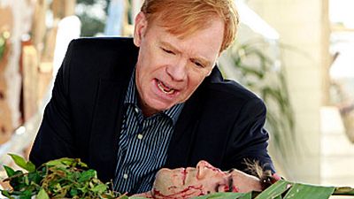 image de la news Audiences du Week-End (28 => 30 septembre) : "Very Bad Trip" pour "Les Experts : Miami"