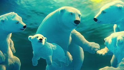 image de la news Les ours Coca-Cola font leur cinéma ! [VIDEO]