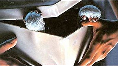 image de la news "Gremlins" : nouvelle rumeur de reboot !