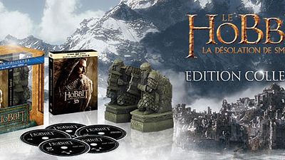 image de la news "Le Hobbit : la désolation de Smaug" : 200 coffrets collector à se procurer de toute urgence !