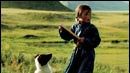 image de la news Un dimanche au cinéma avec... un chien jaune !