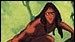 image de la news Tarzan impudique en Israël