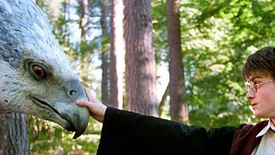 image de la news Harry Potter : Alfonso Cuarón ne réalisera pas le spin-off