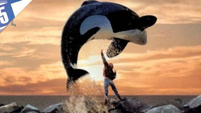 image de la news Le Top 5 des orques [VIDEO]