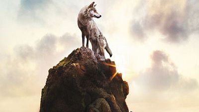 image de la news Bande-annonce Le Dernier loup de Jean-Jacques Annaud 