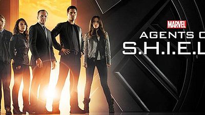 image de la news ABC : Agents du SHIELD, Grey's Anatomy, Quantico... toutes les séries de la saison US 2015/2016