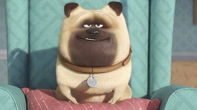 image de la news Bande-annonce Comme des bêtes : La drôle de vie de nos animaux de compagnie... 