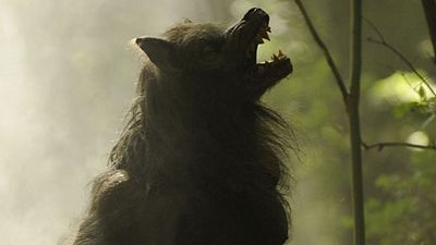 image de la news Après Game of Thrones, un nouveau roman de George RR Martin adapté en série