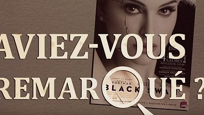 image de la news Aviez-vous remarqué ? Les petits détails cachés de Black Swan