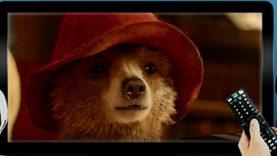 Ce soir à la télé : on mate "Paddington" et "Philomena"