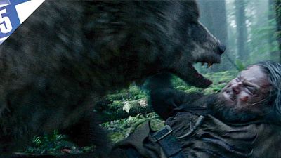 image de la news Le Top 5 des combats contre un ours