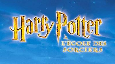 image de la news Harry Potter : bientôt une école de sorciers en France !