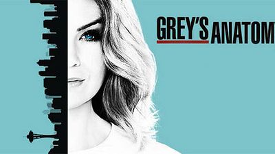 image de la news Grey's Anatomy : TF1 enchaîne avec la saison 13