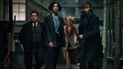 image de la news Les Animaux fantastiques 2 : le danger rôde dans le synopsis de la suite