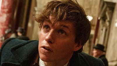 image de la news Les Animaux fantastiques 2 : le tournage est bouclé !