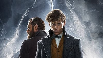 image de la news Les Animaux Fantastiques 2, Avengers 3, Becassine.... Les photos ciné de la semaine