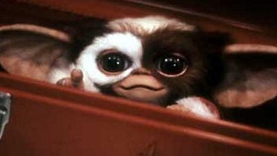 image de la news Gremlins : le nouveau film est toujours d'actualité, et ce sera un reboot !