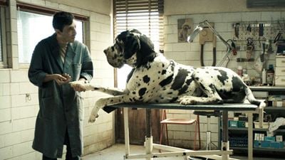 Dogman : retour sur le terrifiant fait divers à l'origine du film