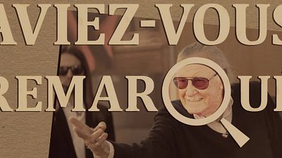 image de la news Aviez-vous remarqué ? Toutes les apparitions de Stan Lee