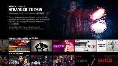 image de la news Netflix : une extension Chrome pour regarder vos séries et films incognito au boulot