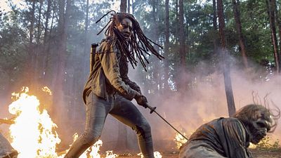 image de la news Une saison 11 pour The Walking Dead, Lauren Cohan de retour