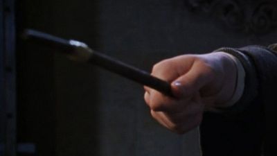 image de la news QUIZ Harry Potter : à quels sorciers appartiennent ces baguettes magiques ?