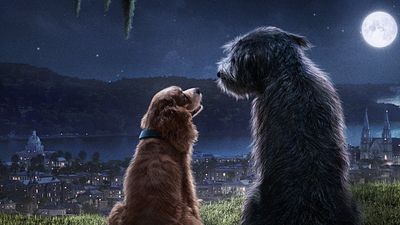 image de la news La Belle et le Clochard (Disney+) : la belle histoire derrière le casting du couple de chiens star