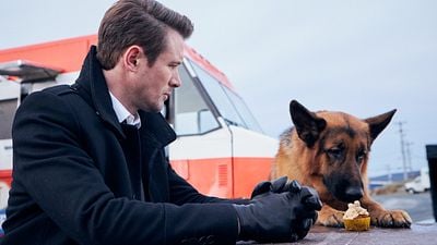 image de la news Hudson et Rex (France 3) : que pense la presse du reboot canadien de Rex chien flic ?
