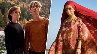 image de la news Programme TV mercredi 29 juillet : Perdrix et Les Oiseaux de passage