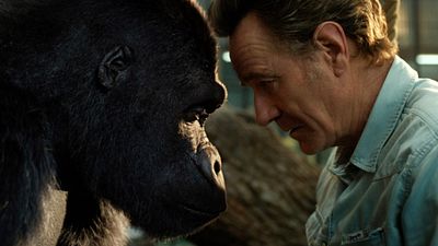 image de la news Le Seul et unique Ivan sur Disney+ : "un film drôle, familial et divertissant"