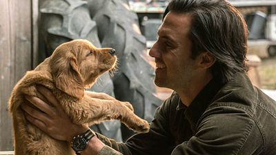 image de la news Dans les yeux d'Enzo sur Disney+ : "Nous avons quelque chose à apprendre de nos animaux."