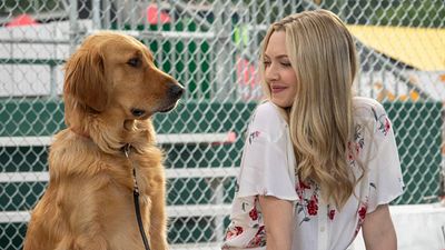 image de la news Dans les yeux d'Enzo : quel célèbre acteur US prête sa voix au chien dans le film sur Disney+ ?