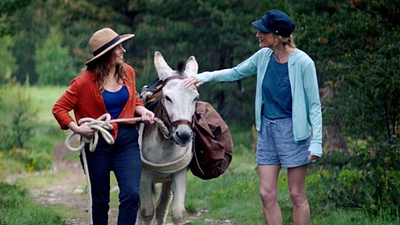 image de la news Box office France : Antoinette dans les Cévennes créé la surprise